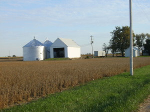 Barns and Bins Refurbished 2011