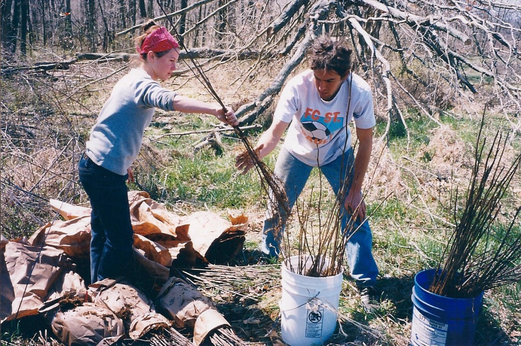 Spring 2000 - Loading the trees into buckets to put on the planter