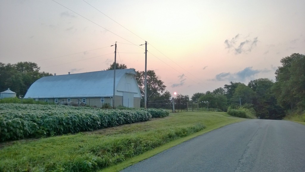 Sunrise this morning on the county road 