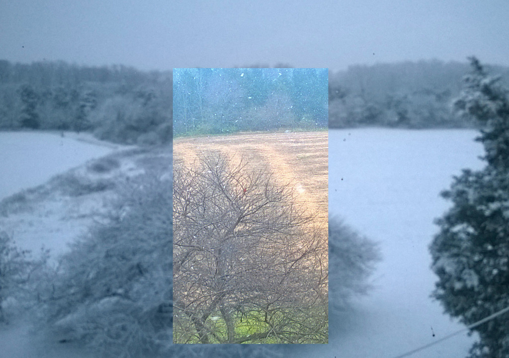 Sunday afternoon (inset) vs. Monday morning